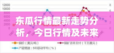 东瓜行情最新走势分析，今日行情及未来展望