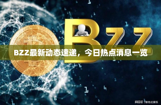 BZZ最新动态速递，今日热点消息一览