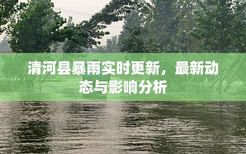清河县暴雨实时更新，最新动态与影响分析