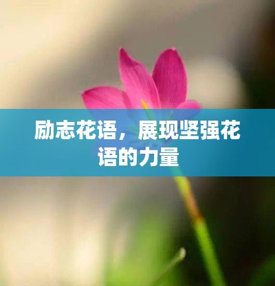励志花语，展现坚强花语的力量