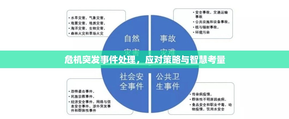 危机突发事件处理，应对策略与智慧考量