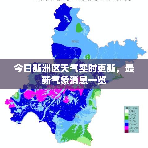 今日新洲区天气实时更新，最新气象消息一览