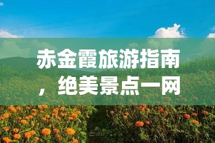 赤金霞旅游指南，绝美景点一网打尽！