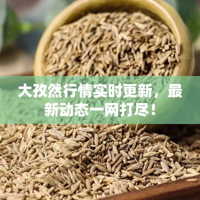 大孜然行情实时更新，最新动态一网打尽！