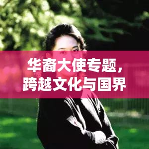 华裔大使专题，跨越文化与国界的沟通桥梁