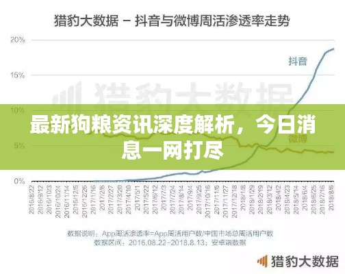 最新狗粮资讯深度解析，今日消息一网打尽