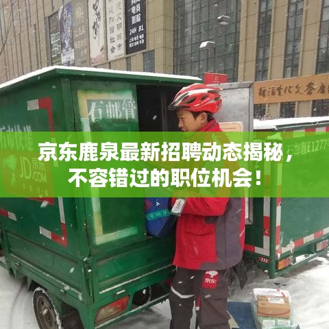 京东鹿泉最新招聘动态揭秘，不容错过的职位机会！