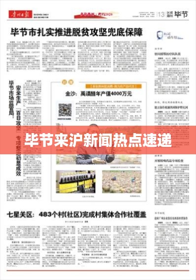 毕节来沪新闻热点速递