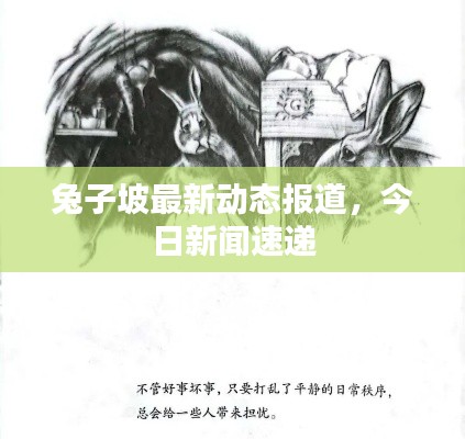 兔子坡最新动态报道，今日新闻速递