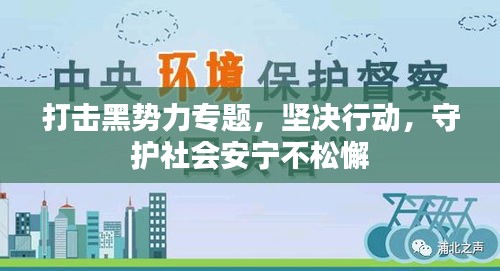 打击黑势力专题，坚决行动，守护社会安宁不松懈
