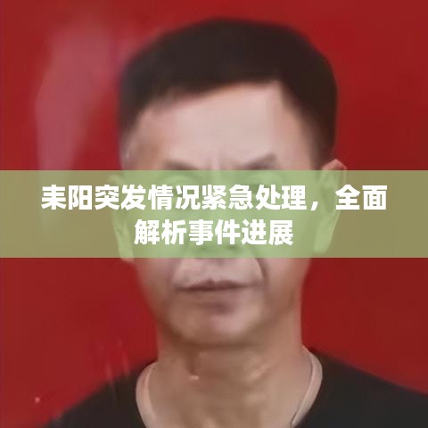耒阳突发情况紧急处理，全面解析事件进展