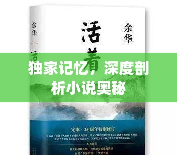 独家记忆，深度剖析小说奥秘
