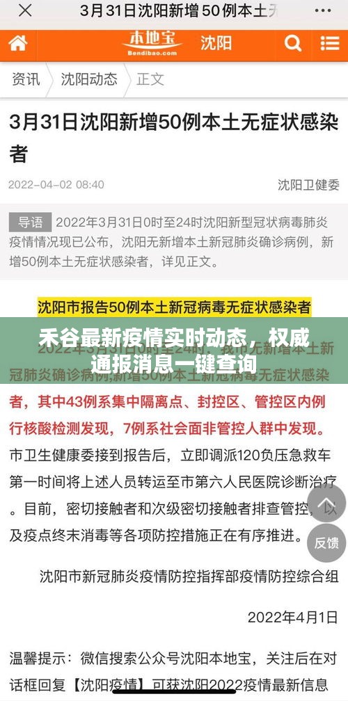 禾谷最新疫情实时动态，权威通报消息一键查询