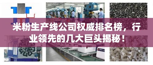 米粉生产线公司权威排名榜，行业领先的几大巨头揭秘！