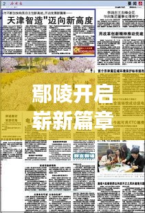 鄢陵开启崭新篇章，今日新闻头条聚焦发展盛事