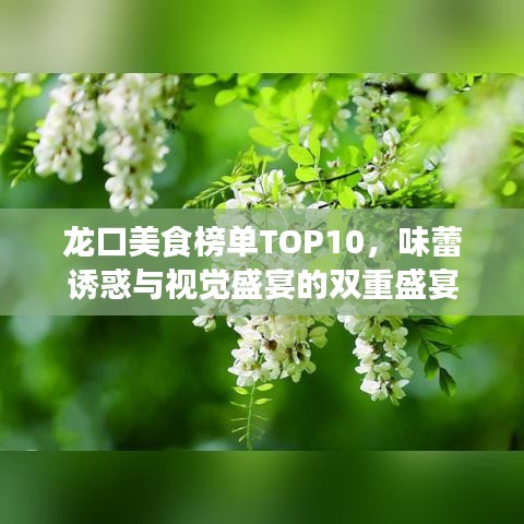 龙口美食榜单TOP10，味蕾诱惑与视觉盛宴的双重盛宴
