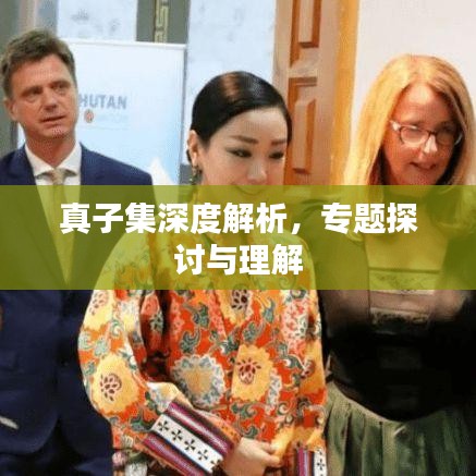 真子集深度解析，专题探讨与理解