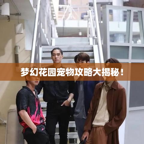 梦幻花园宠物攻略大揭秘！