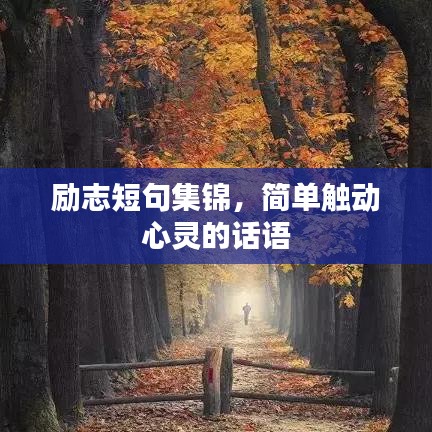 励志短句集锦，简单触动心灵的话语