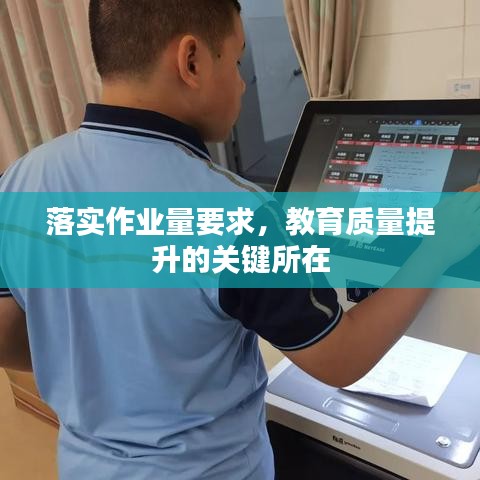 落实作业量要求，教育质量提升的关键所在