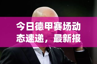 今日德甲赛场动态速递，最新报价与球员转会传闻大揭秘