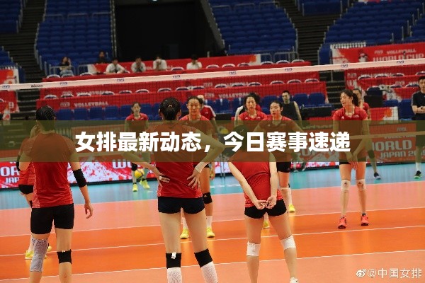 女排最新动态，今日赛事速递