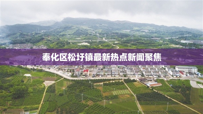 奉化区松圩镇最新热点新闻聚焦