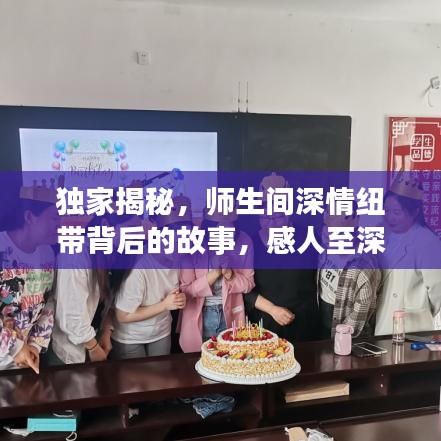独家揭秘，师生间深情纽带背后的故事，感人至深！