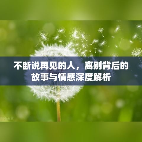 不断说再见的人，离别背后的故事与情感深度解析