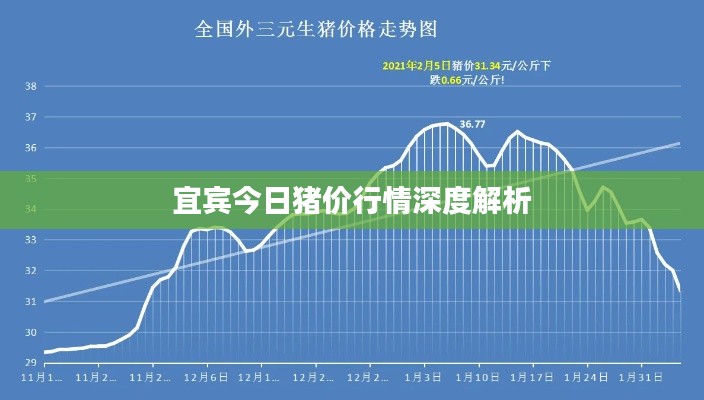 宜宾今日猪价行情深度解析