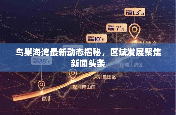 鸟巢海湾最新动态揭秘，区域发展聚焦新闻头条