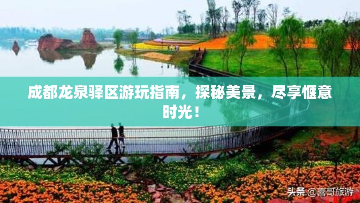成都龙泉驿区游玩指南，探秘美景，尽享惬意时光！