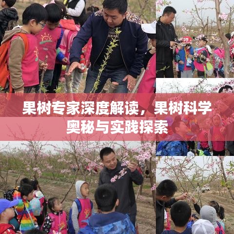 果树专家深度解读，果树科学奥秘与实践探索