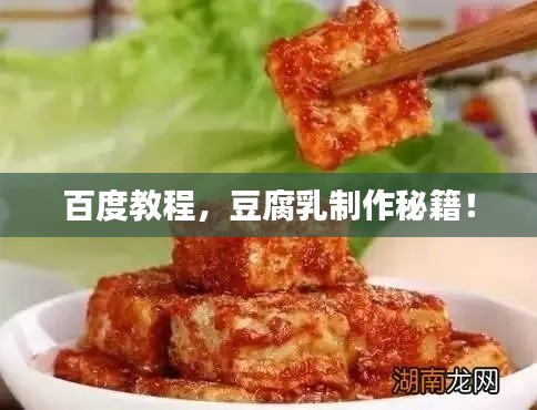 百度教程，豆腐乳制作秘籍！