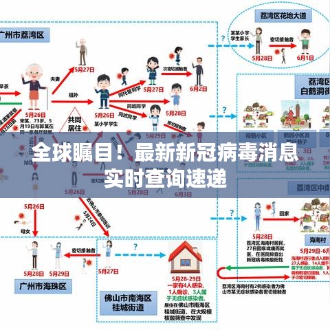 全球瞩目！最新新冠病毒消息实时查询速递