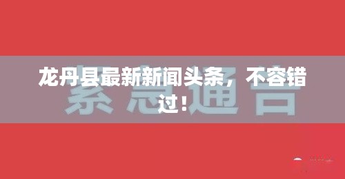 龙丹县最新新闻头条，不容错过！