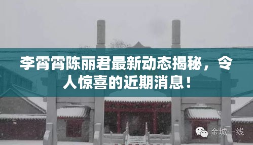 李霄霄陈丽君最新动态揭秘，令人惊喜的近期消息！