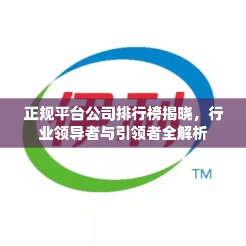 正规平台公司排行榜揭晓，行业领导者与引领者全解析