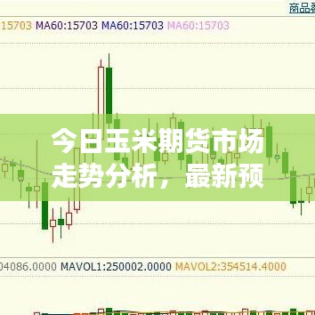 今日玉米期货市场走势分析，最新预测与未来展望