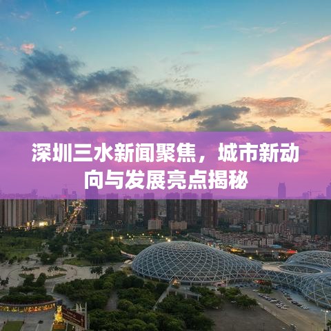 深圳三水新闻聚焦，城市新动向与发展亮点揭秘