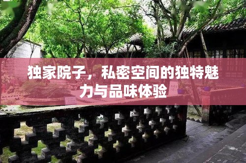 独家院子，私密空间的独特魅力与品味体验