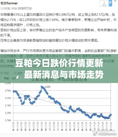 豆粕今日跌价行情更新，最新消息与市场走势分析