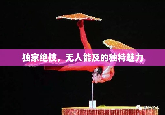 独家绝技，无人能及的独特魅力