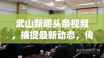 武山新闻头条视频，捕捉最新动态，传递地方声音，尽在掌握！