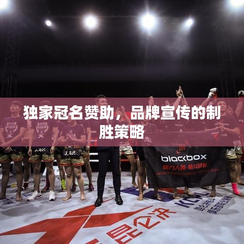 独家冠名赞助，品牌宣传的制胜策略