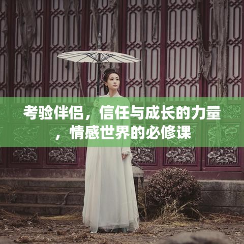 考验伴侣，信任与成长的力量，情感世界的必修课