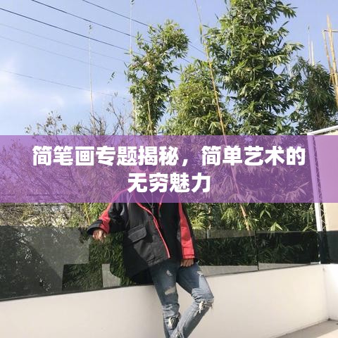 简笔画专题揭秘，简单艺术的无穷魅力