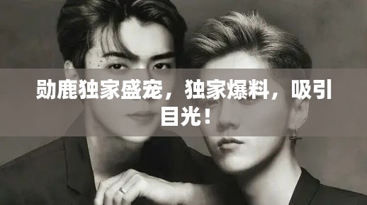 勋鹿独家盛宠，独家爆料，吸引目光！