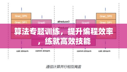 算法专题训练，提升编程效率，练就高效技能