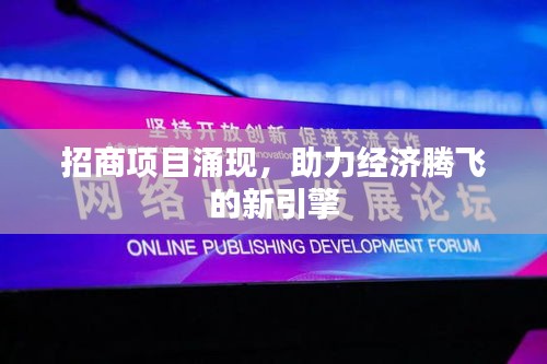 招商项目涌现，助力经济腾飞的新引擎